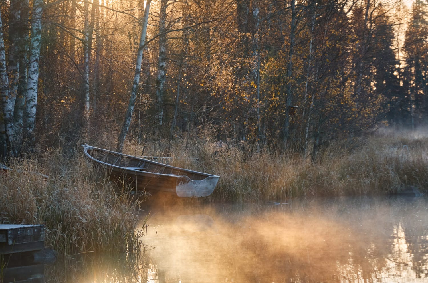 Sørøg en tidlig morgen. Sørøg en tidlig morgen.